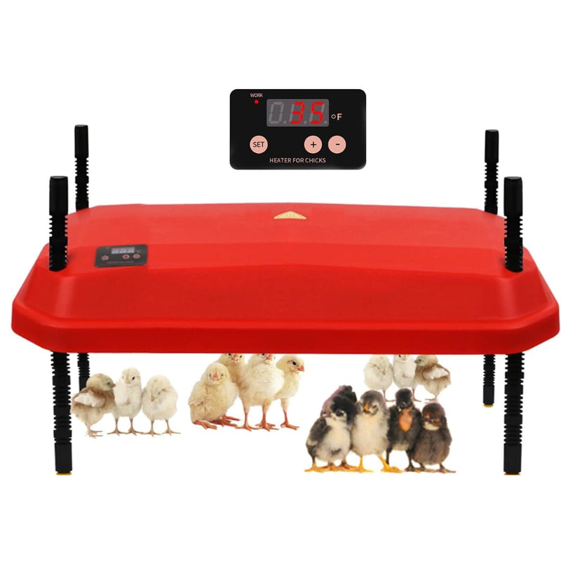 Chicken Heating Plate Brooder