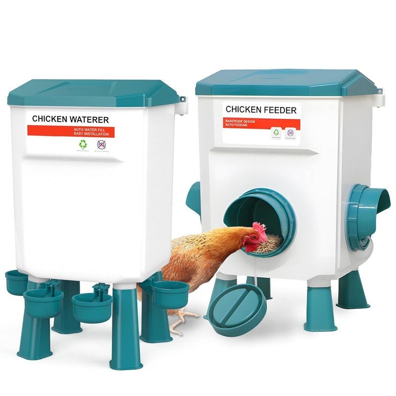 Chicken Feeder Chicken Drinker
