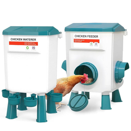Chicken Feeder Chicken Drinker