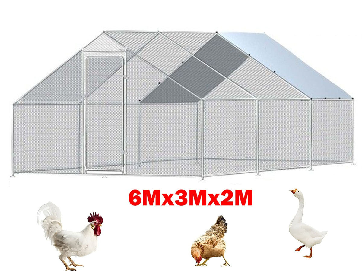 Outdoor Chicken Coop