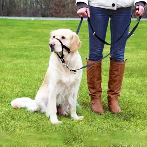 Adjustable Pet Dog Head Collar