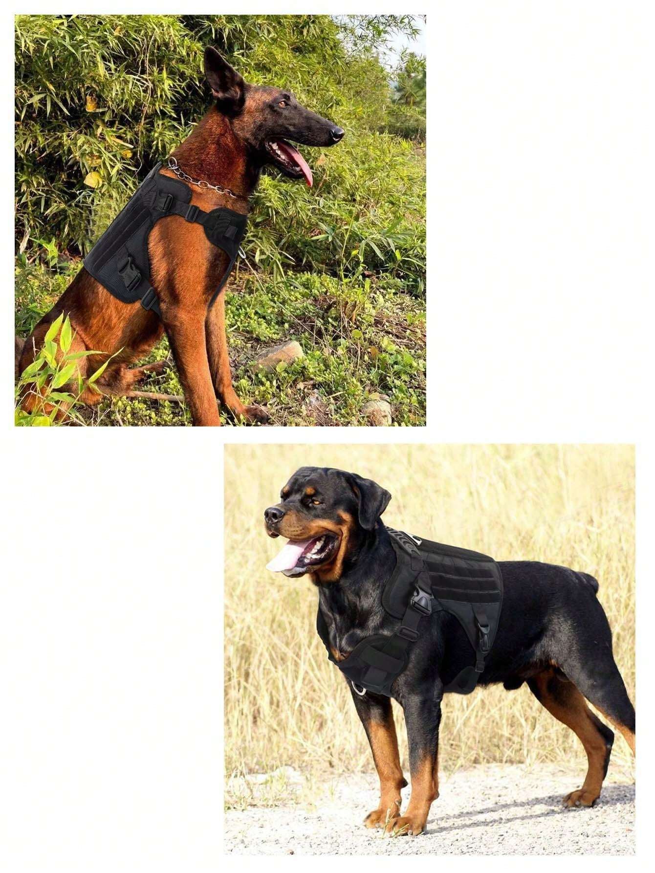 Dog Harness L Size