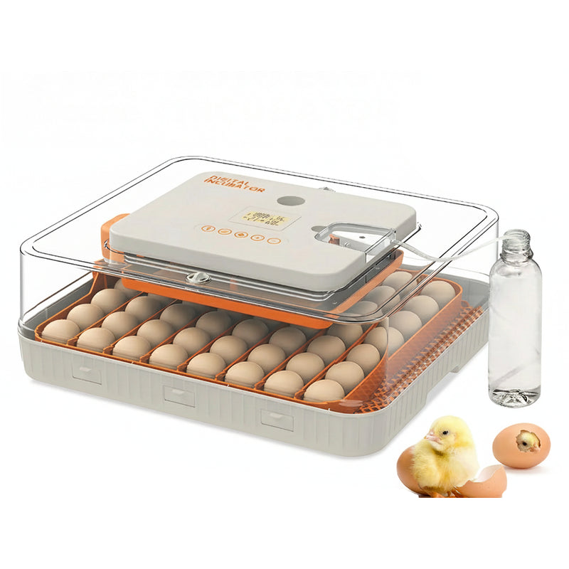 Automatic Egg Incubator  56-70 Eggs