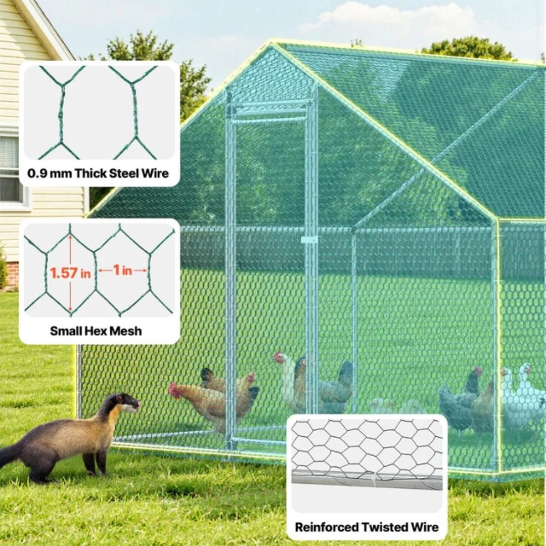Chicken Coop 8Mx3Mx2M