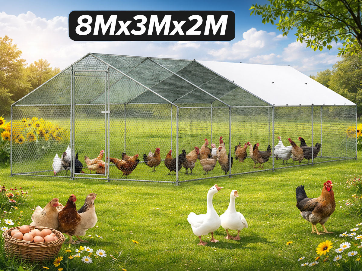 Chicken Coop 8Mx3Mx2M