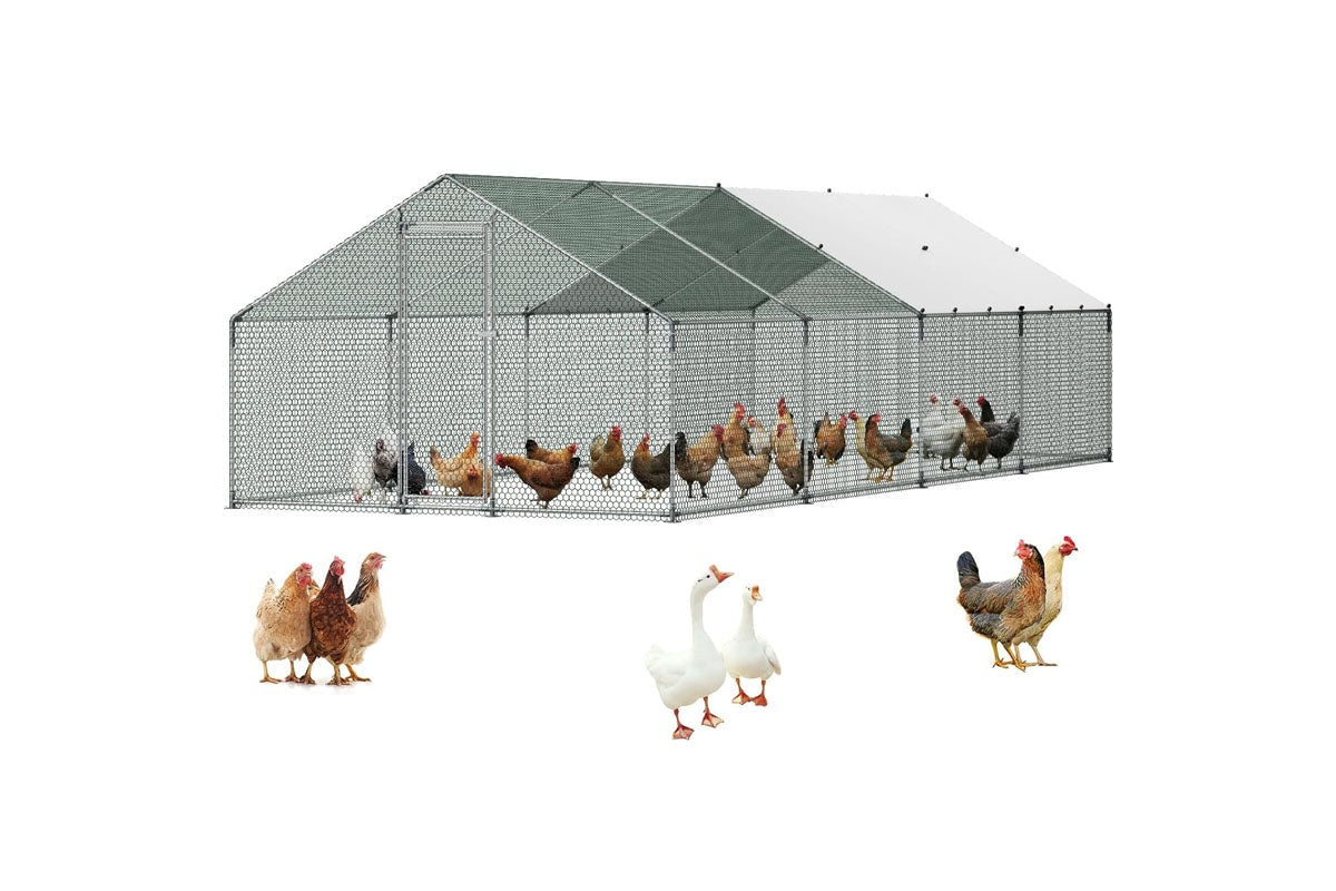 Chicken Coop 8Mx3Mx2M