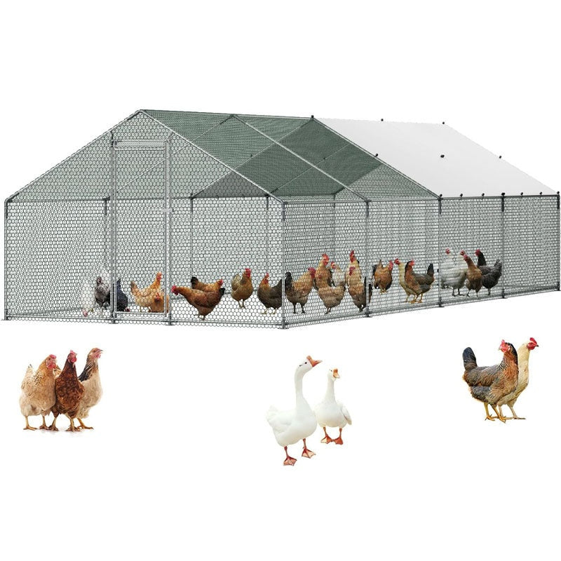 Chicken Coop 8Mx3Mx2M