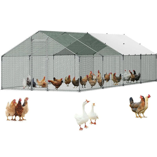 Chicken Coop 8Mx3Mx2M
