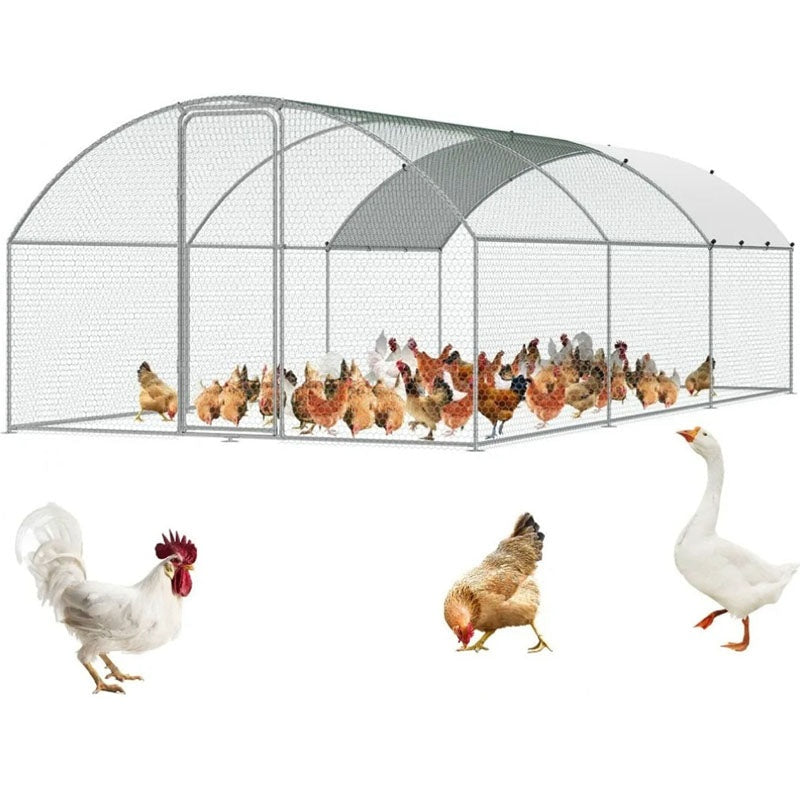 Chicken Coop Run 6m * 3m * 2m