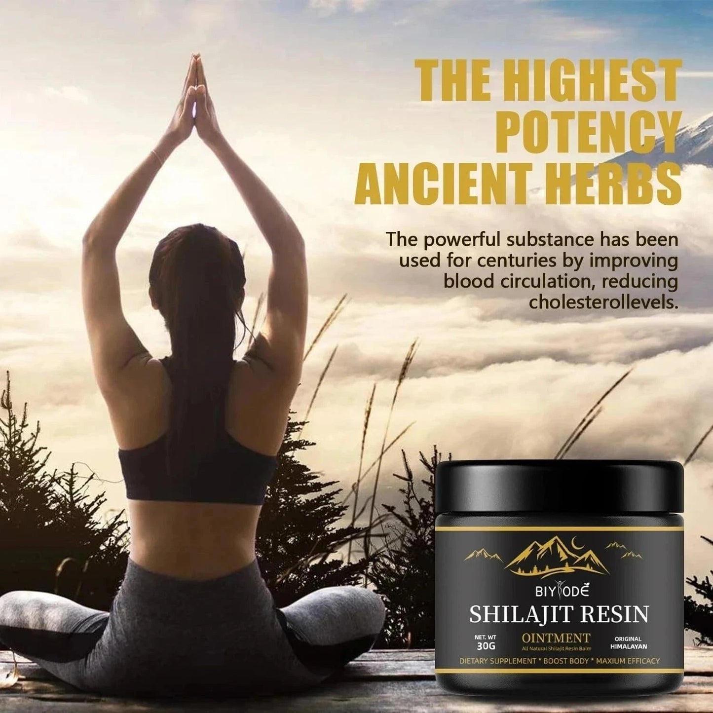 Organic Shilajit Resin 100g