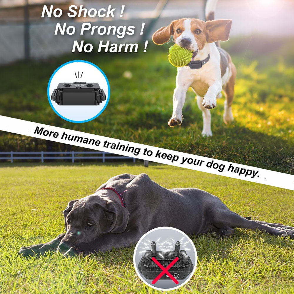 Dog Training Collar Rechargeable
