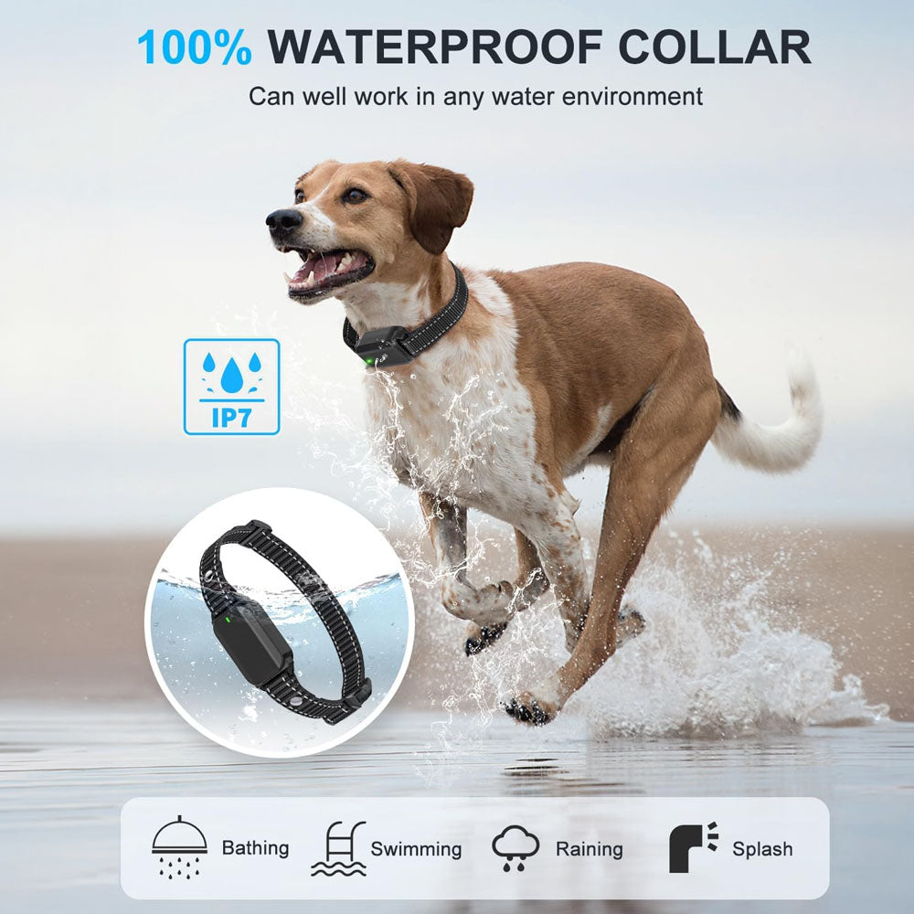 Dog Training Collar Rechargeable