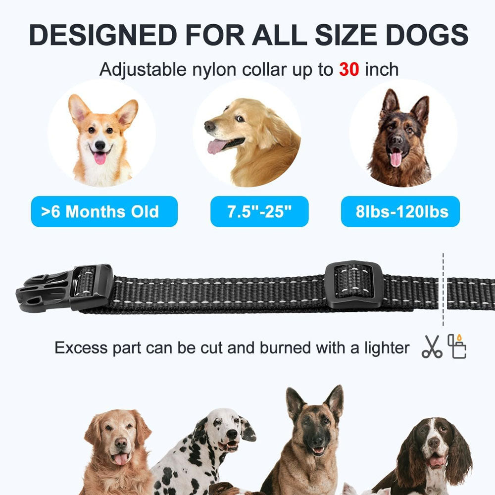 Dog Training Collar Rechargeable