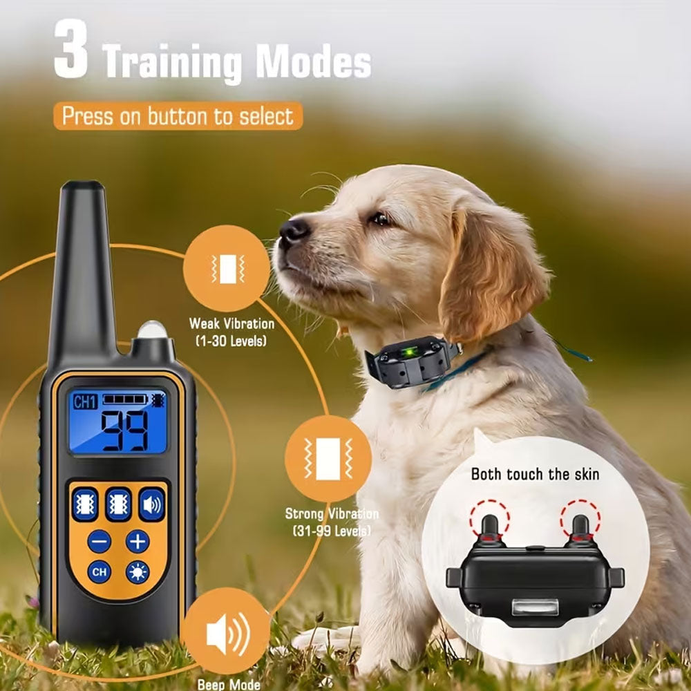 Dog Training Collar