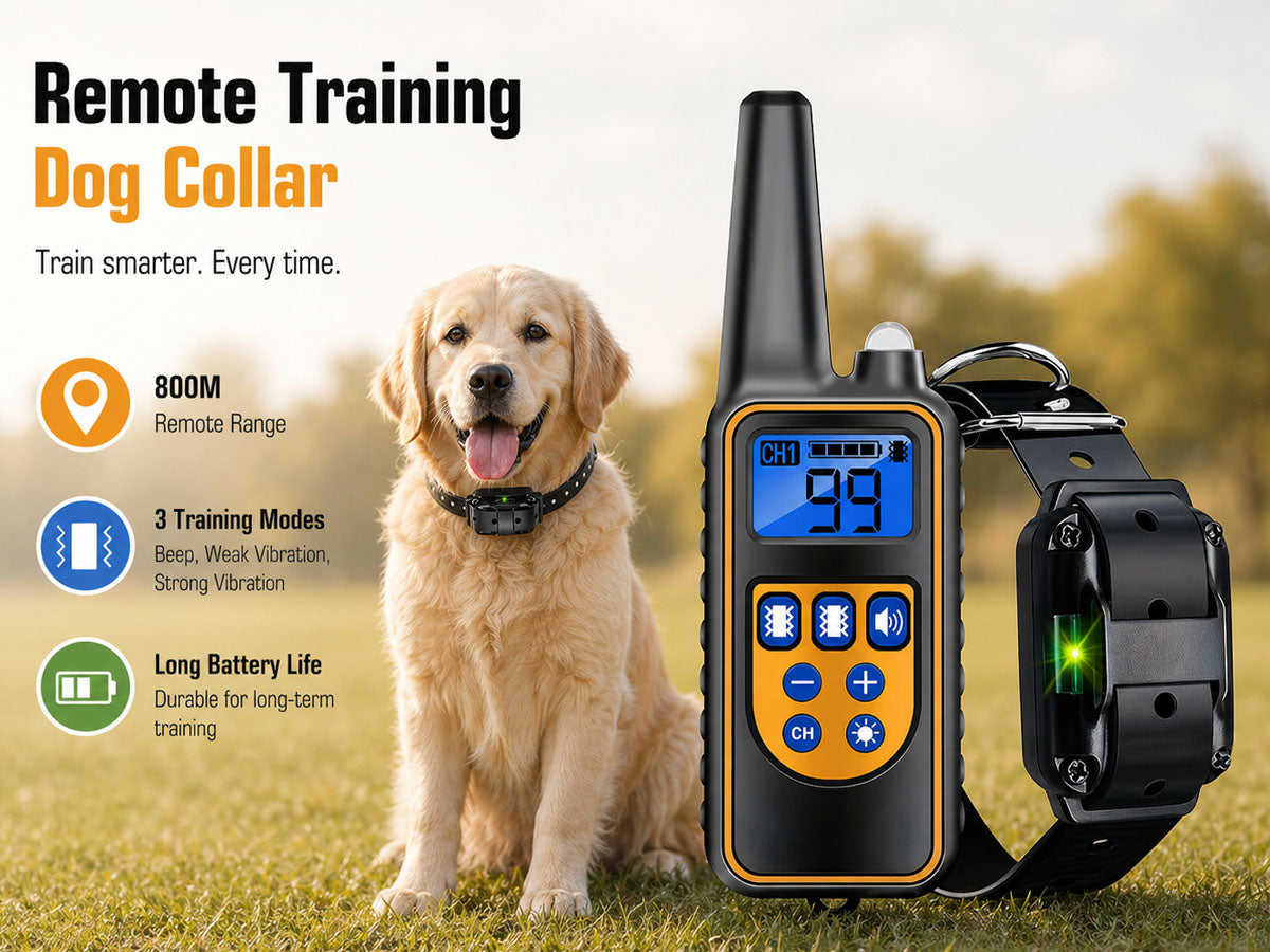 Dog Training Collar