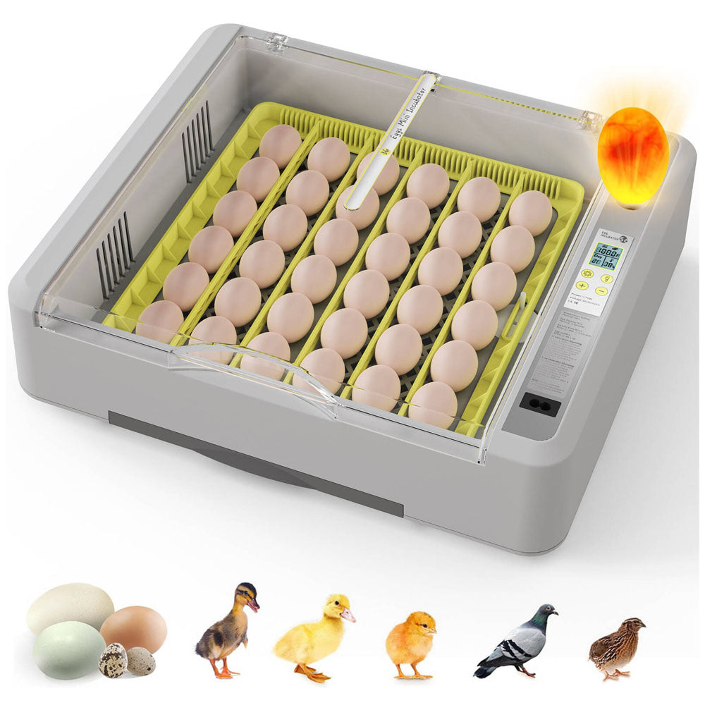 Egg Incubator Hatcher 36-120 Egg