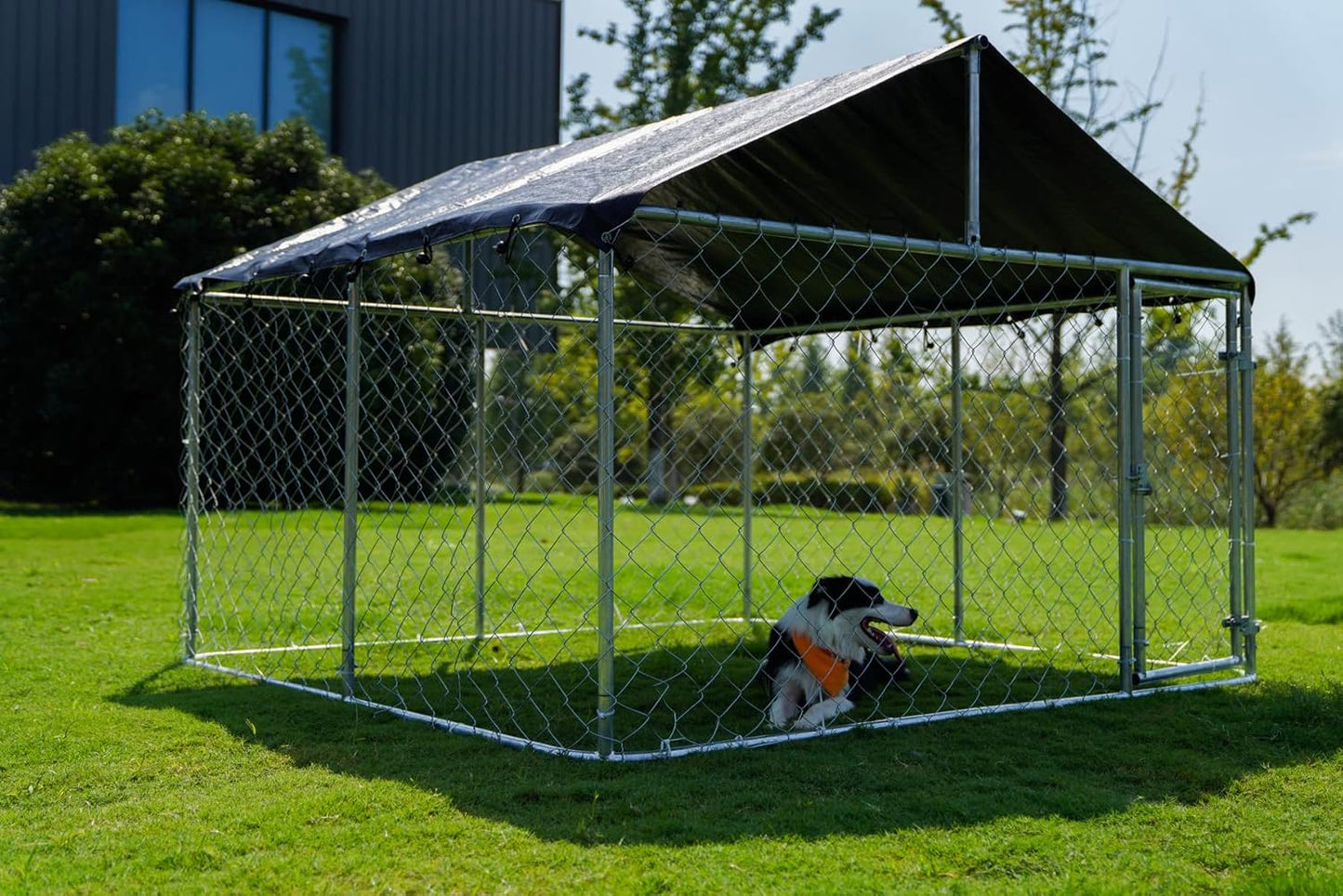 Outdoor Dog Run with Shade Sail 3 x 3 x 1.8m