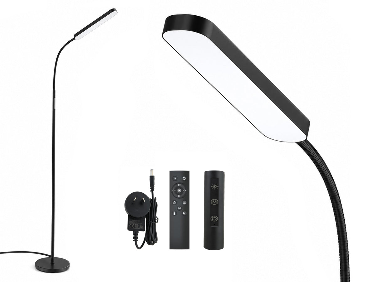 LED Floor Lamp with Remote, Touch Control, Dimmable Light & Adjustable Gooseneck