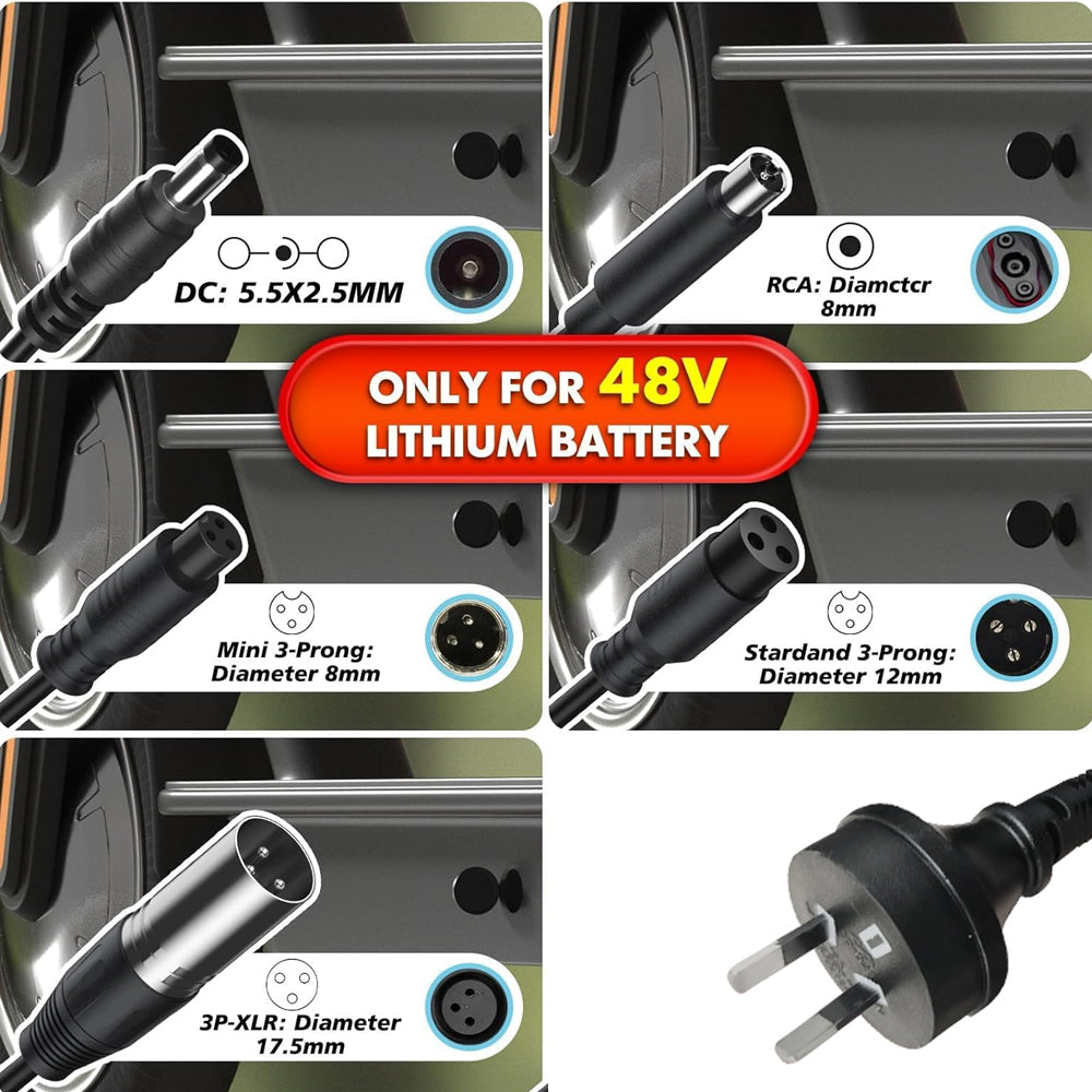 54.6V 2A Ebike Charger for 48V Lithium Battery