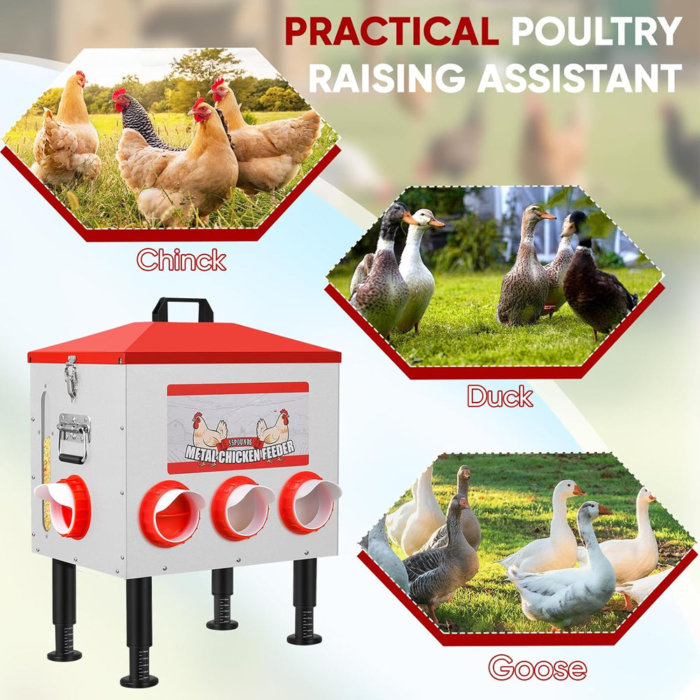 Chicken Feeder 25kg