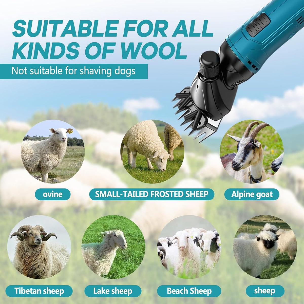 Cordless Sheep Clipper