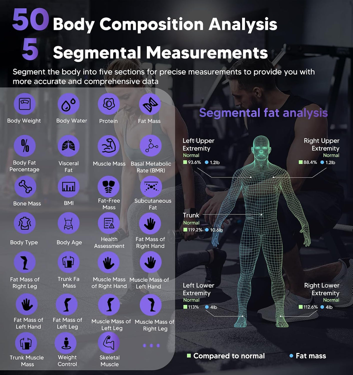 Body Fat Scale