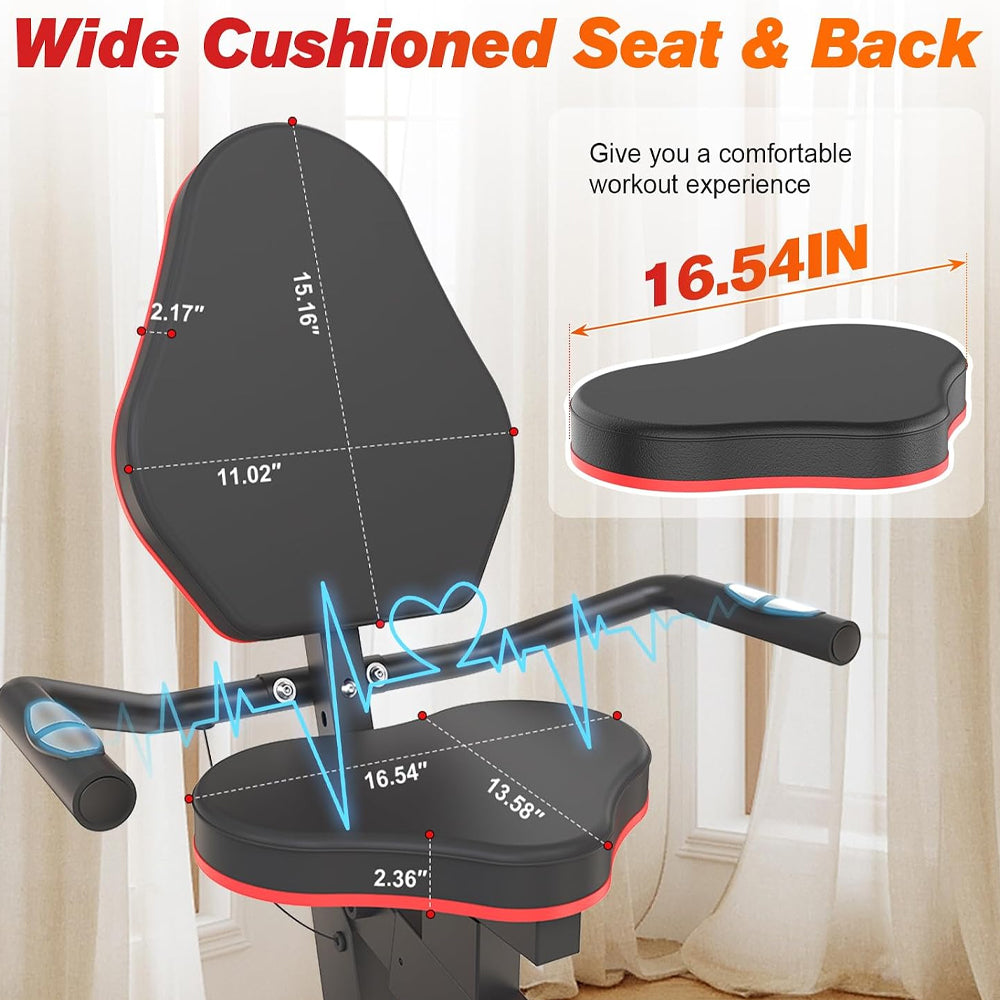 Recumbent Bike