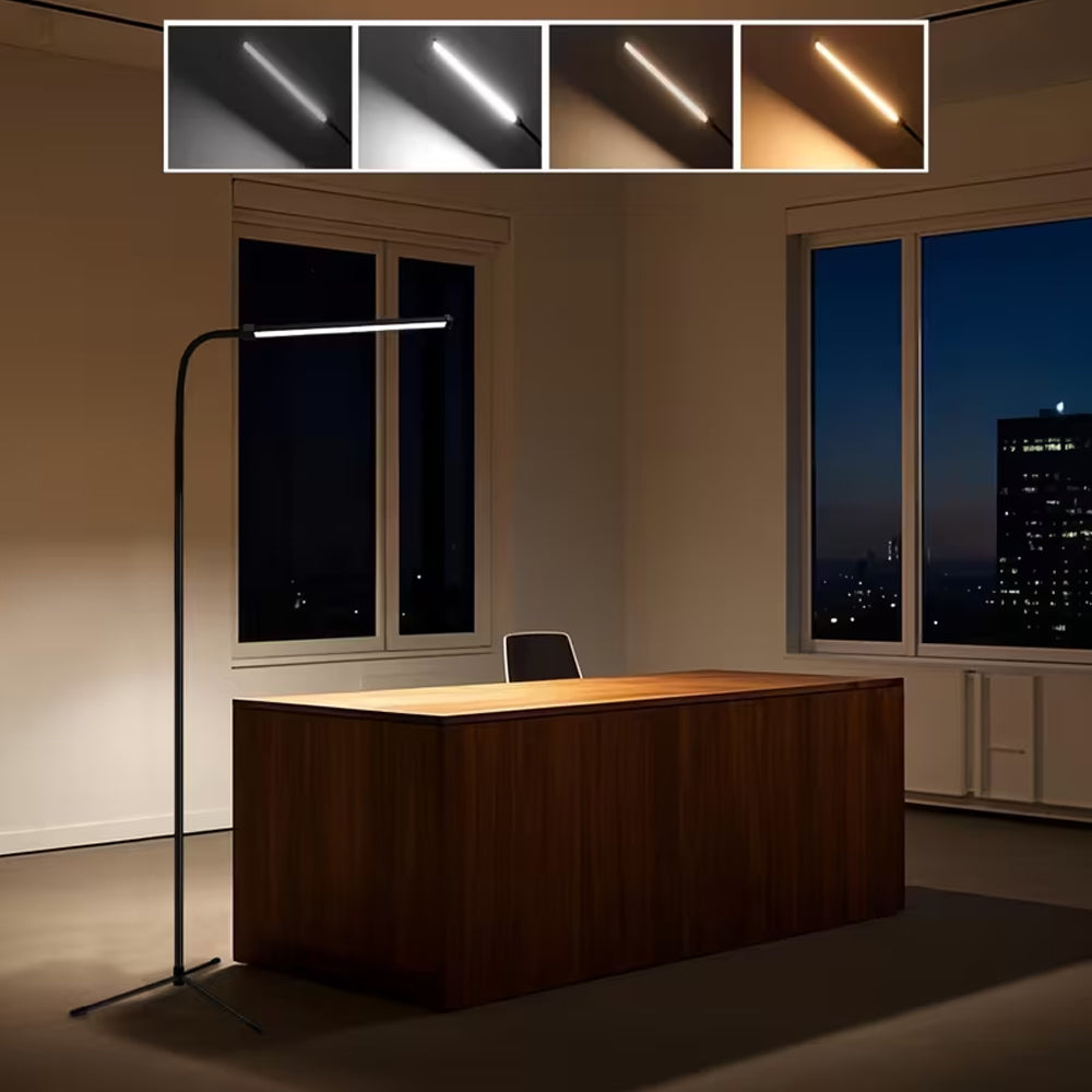 Modern LED Floor Lamp