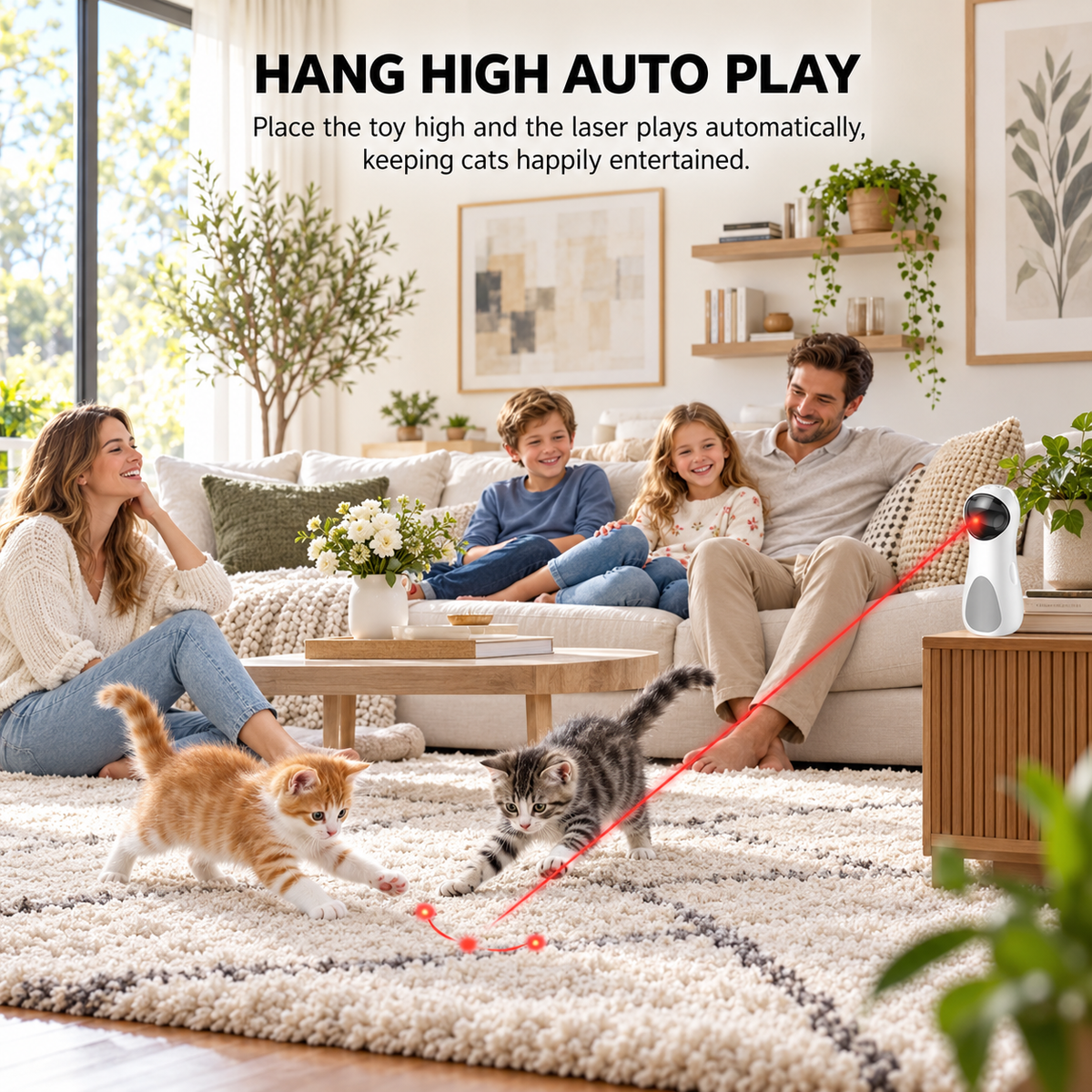 Cat Laser Toy