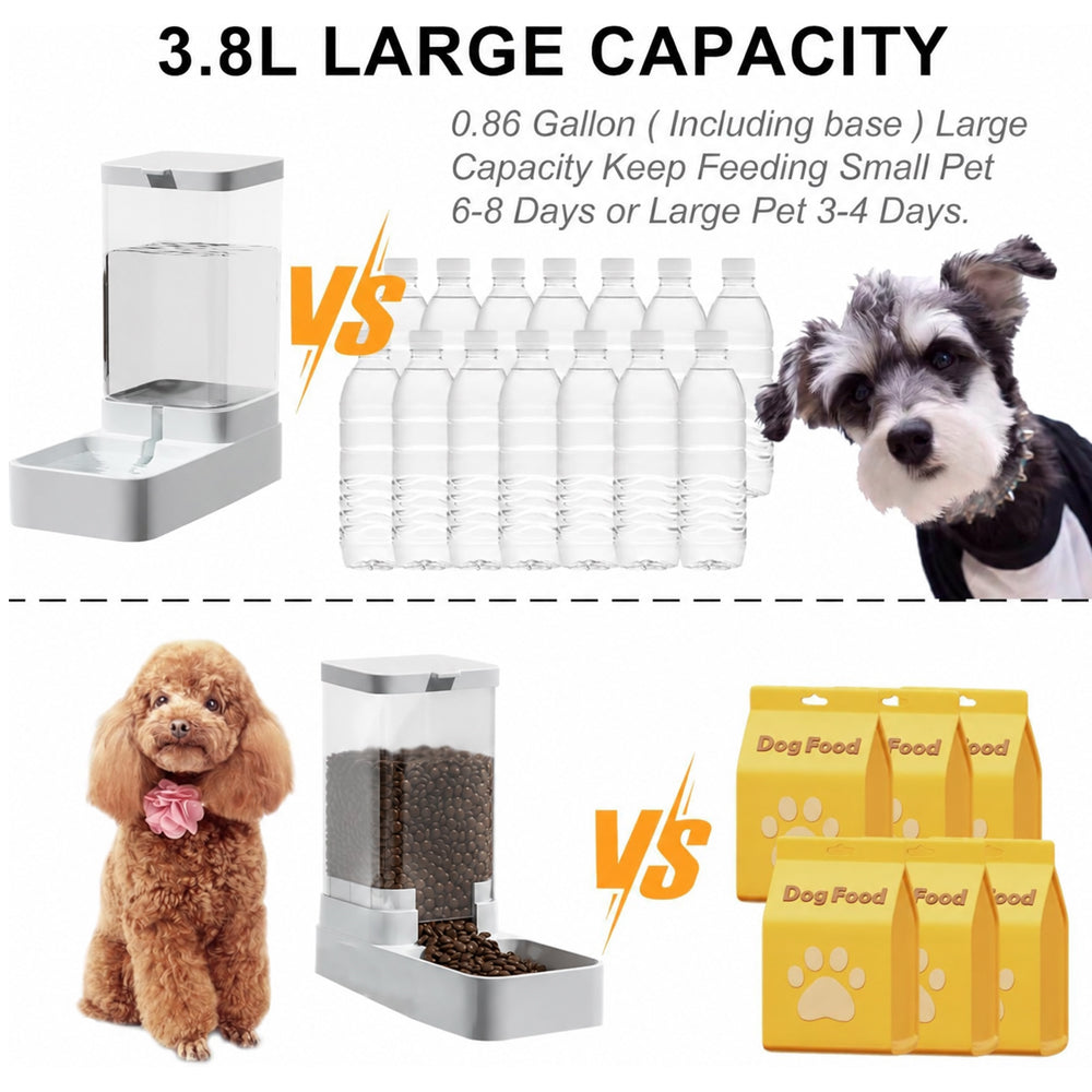 Automatic Pet Feeder & Water Dispenser