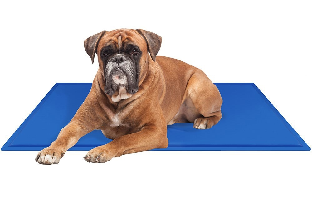 Pets Gel Cooling Mat Pet Dog Cooling Pad Extra Large