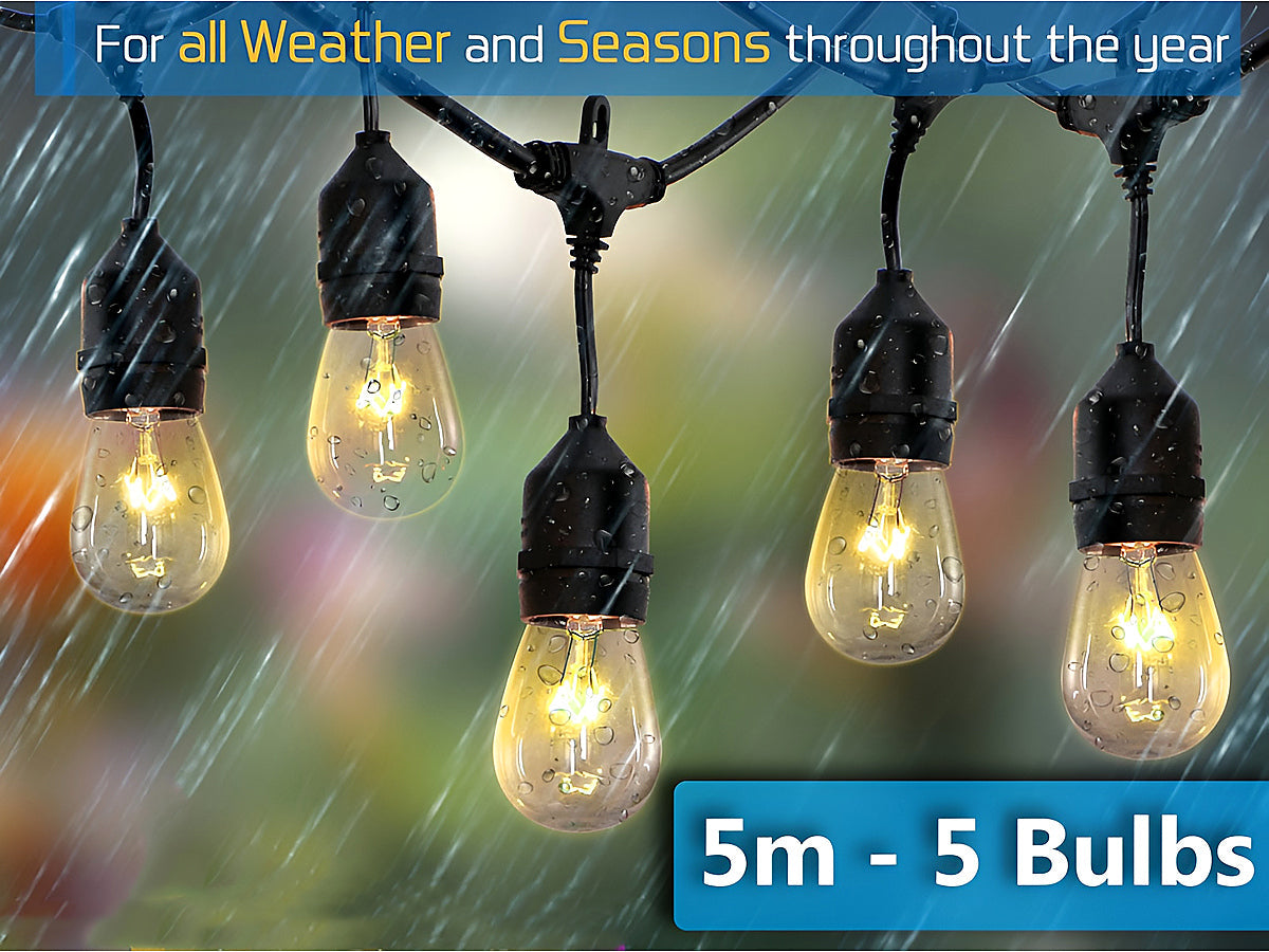 Festoon Lights String Lights 5M-5 bulbs