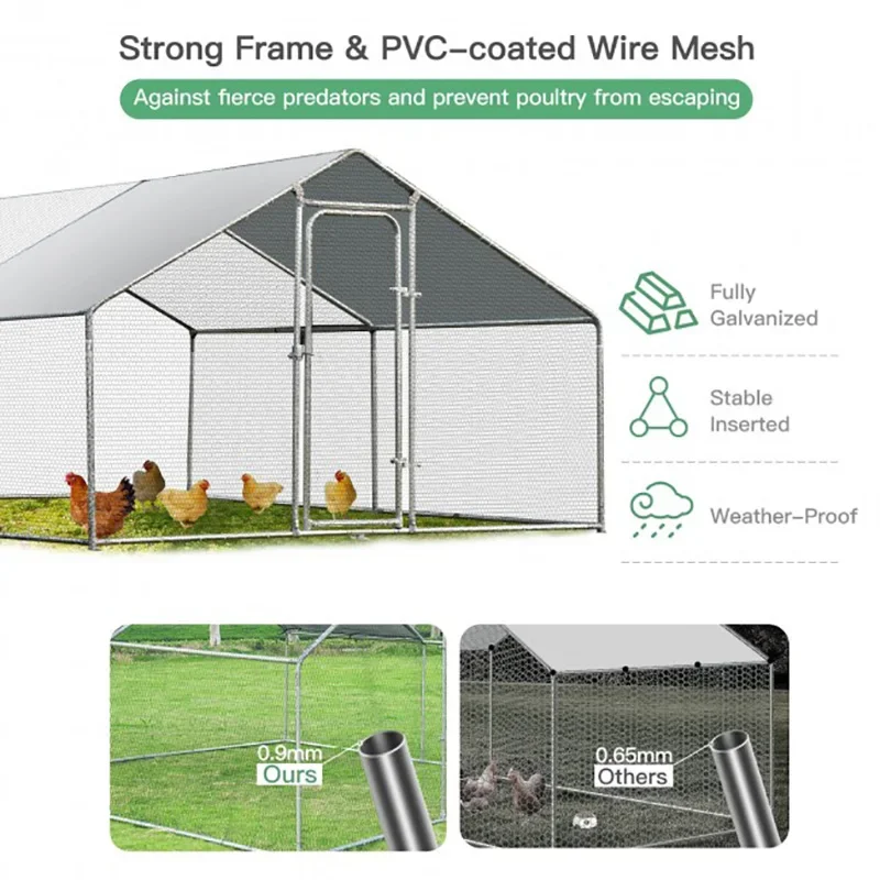 Outdoor Chicken Coop