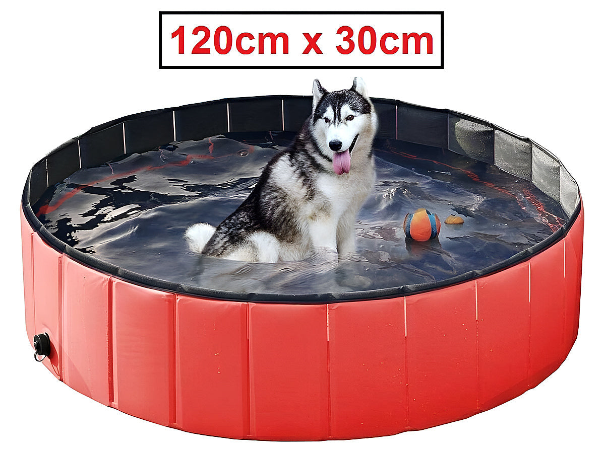 Dog Pet Swimming Pool