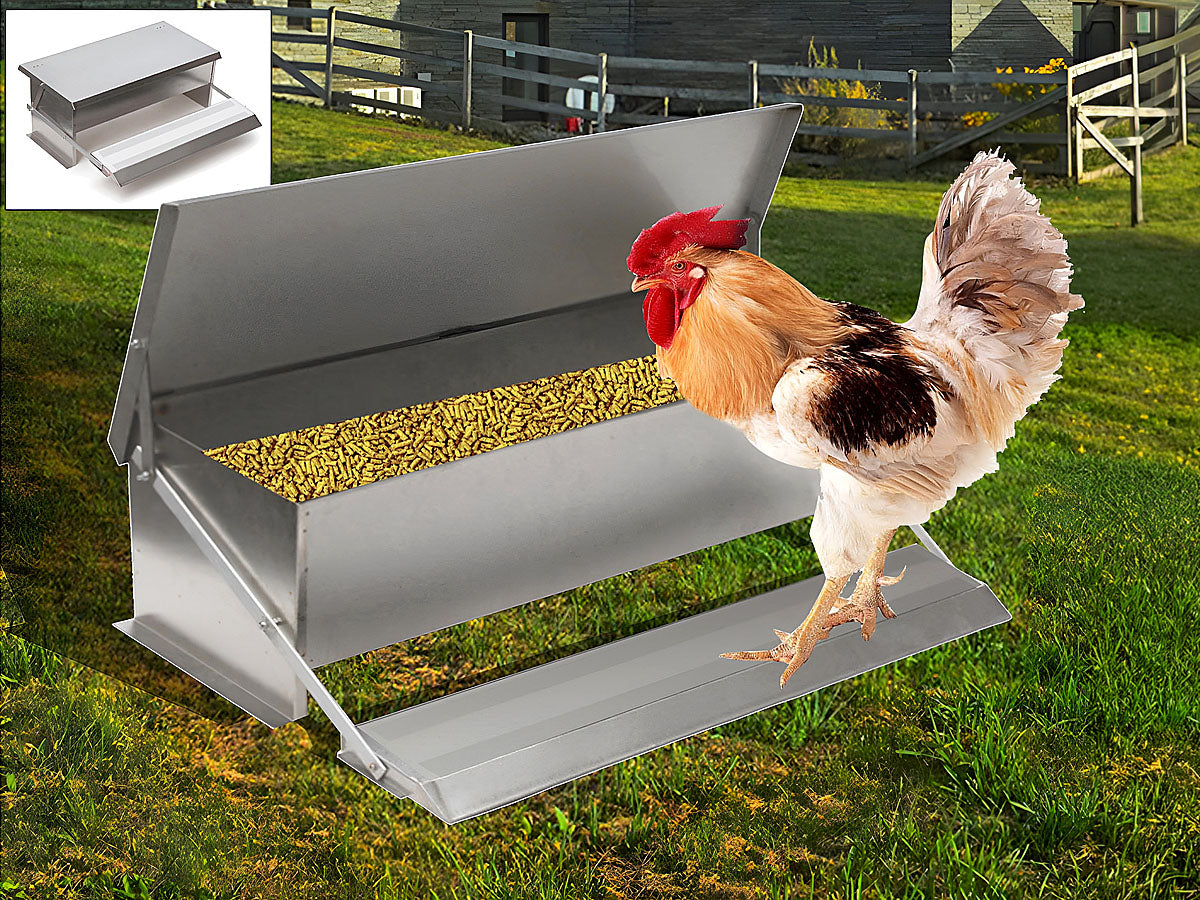 Automatic Chicken Feeder 5kg